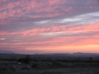 Sunset in the Desert